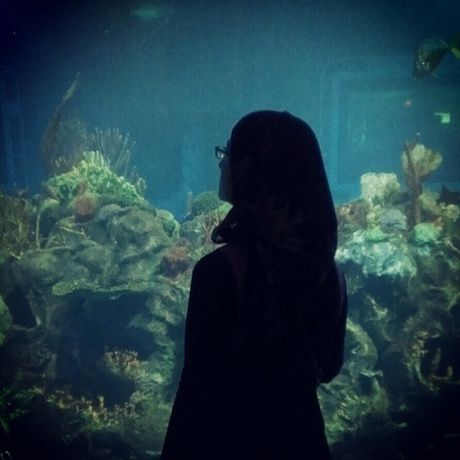 38f8eca86b26040e8150c307f36d5244