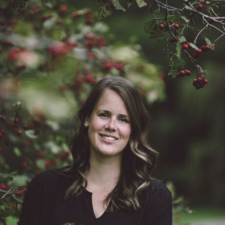 Bf21e5e2 b41e 4a16 8076 8dbdb7768169