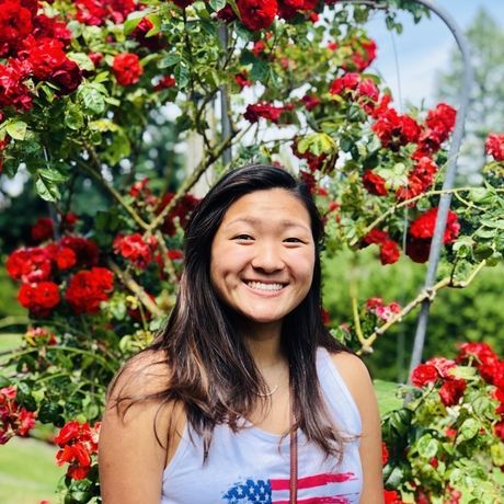 D7336123 d598 458c ba22 9bd734a89af1