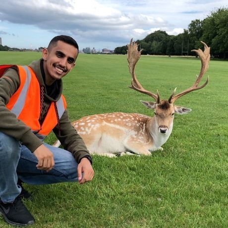 5cb33fdb 97b9 43e7 bb50 a250ae748ede