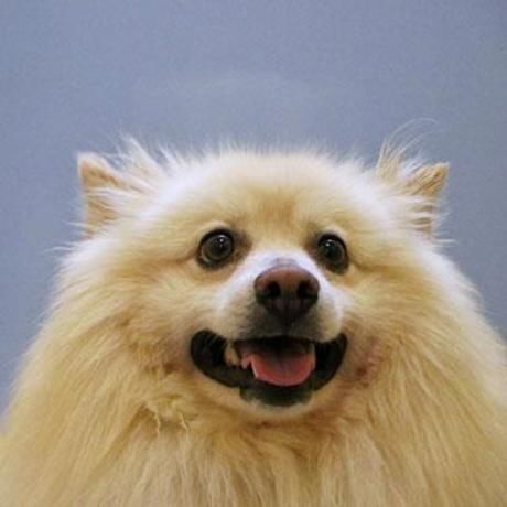 612a42b0 a8f7 4dad 9d0b 15f36d4702e5