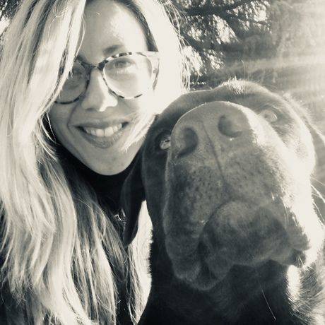 7ad6decc 9b3e 45a6 a9fe 629031f770e0