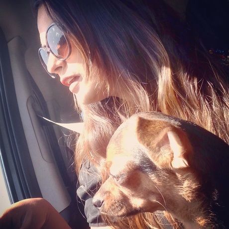 3e52a1ed beb0 4a62 b245 a8da2ac932a5