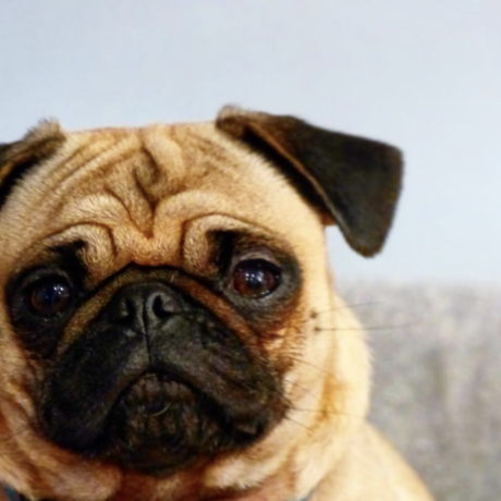 Screen shot 2018 06 26 at 2.01.37 pm