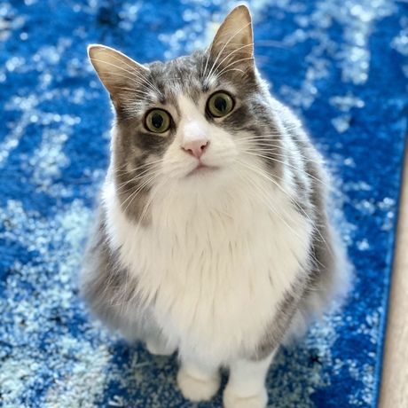 B91f3054 e369 4173 99f0 1f3a67e5c0e9