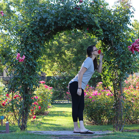 Roses