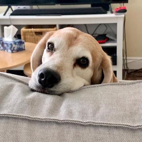 57660783 0a71 403f a1ba b762d3affbca