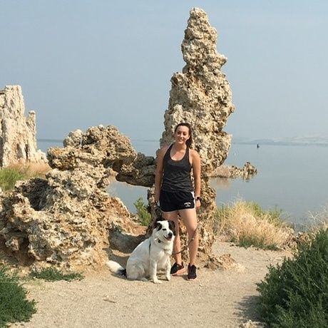 54d2db00 0c73 40d3 a85c 035a420cd508