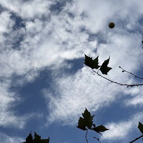 6040b3e0 259b 4a02 97d6 90b21e8edf96