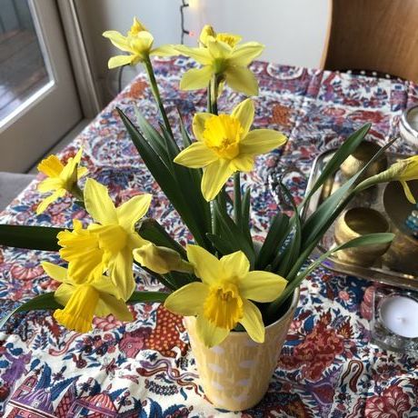 7shc40hurlemap0qr2 qgq