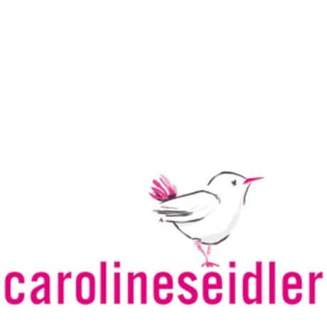 Cs logo neu ohne com