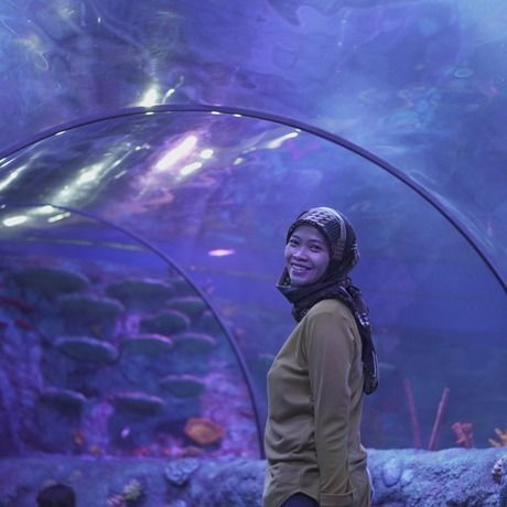 56a9cc1b ff76 463e b3eb c7590127905c