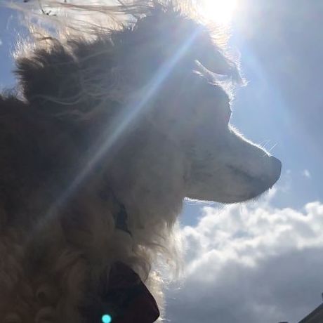 09db68f3 46cd 4615 9ced 634262eab194