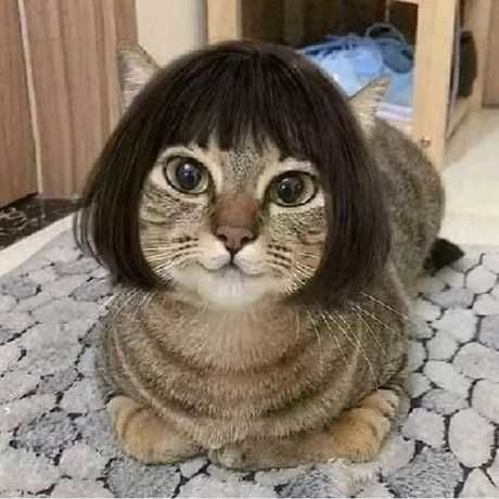 0a66072f a322 4dff b3e3 9ab63023d3a1