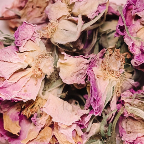 Yoryoga   tea talks   amsterdam