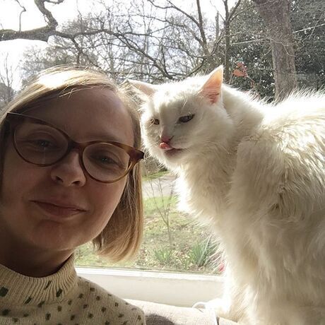 811c245c e595 454b a7b2 42f79e70db5f