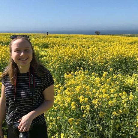 28336697 1755931721130715 8651843955767264370 o