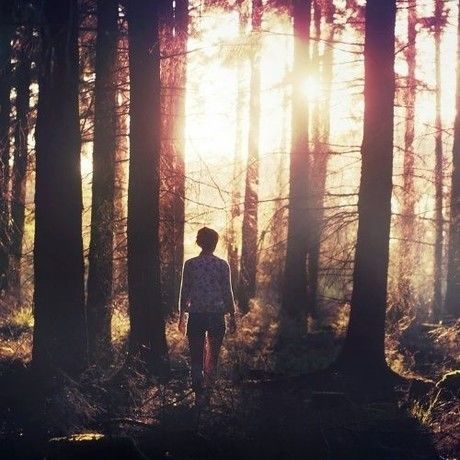 Inbound7176596699933163802