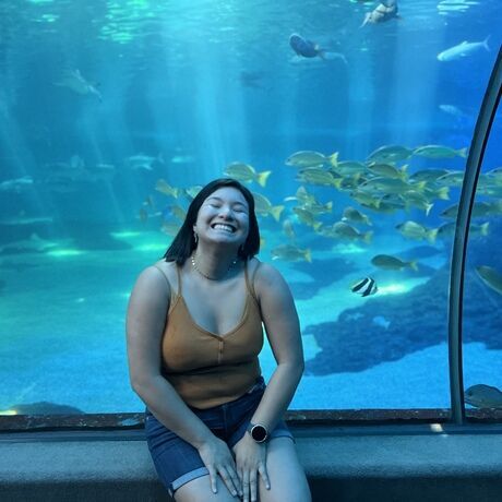 D558b93f f8b2 4a89 b6ae 958f5d103914