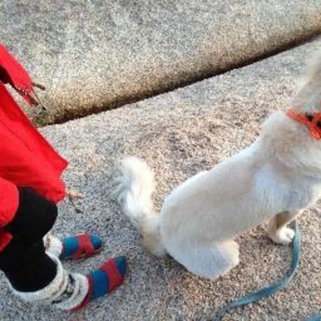 979ca12e4671ccd6f32e1a951f64d5f1