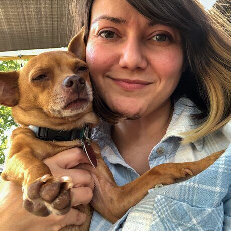 68d14ecc a5e3 4ce1 b8ba 159dbe3e18b0