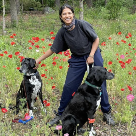 Screen shot 2022 01 25 at 10.36.45 am