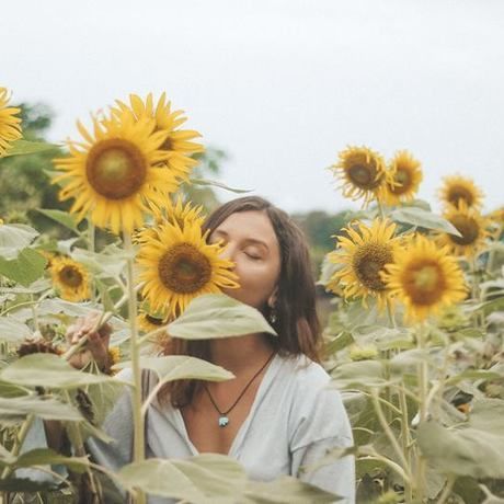 37838914 2225750500799152 54993873654513664 n