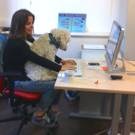 Noodle and eileen in work