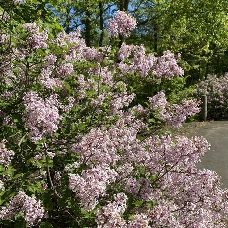 B6c7e22e 4616 4732 a2a3 c422e48e7f19