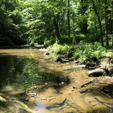 918387f6 777e 4304 9871 7ad6497c7f56