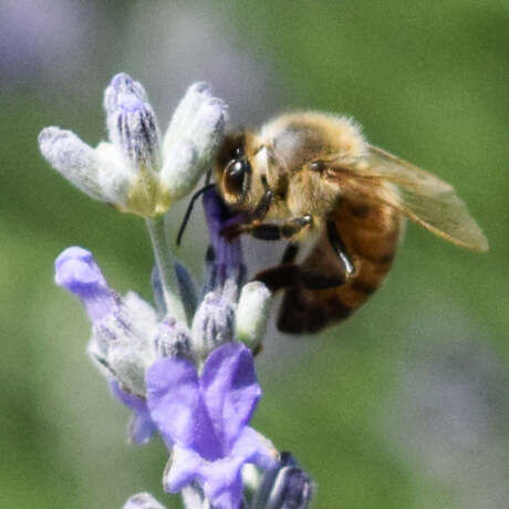 216681094 10225357109305361 1140917351786919585 n