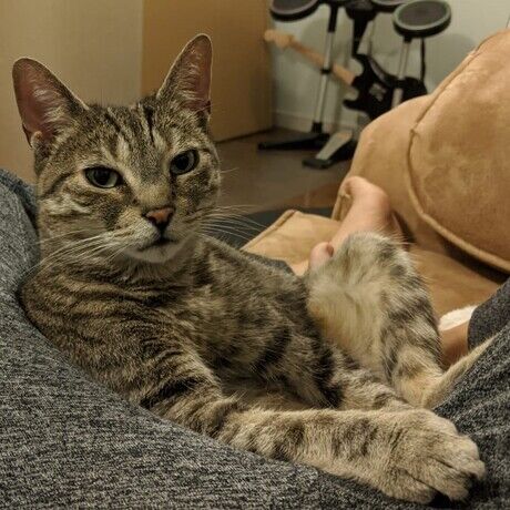 Whatsapp image 2020 06 18 at 1.59.37 am