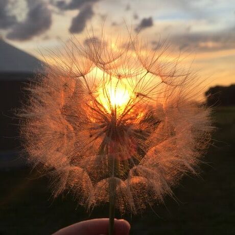 5068c541 c719 4ed9 af56 9b7db6f2c3d5