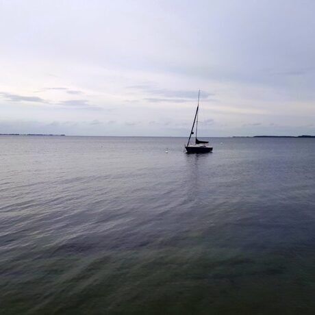 Meer
