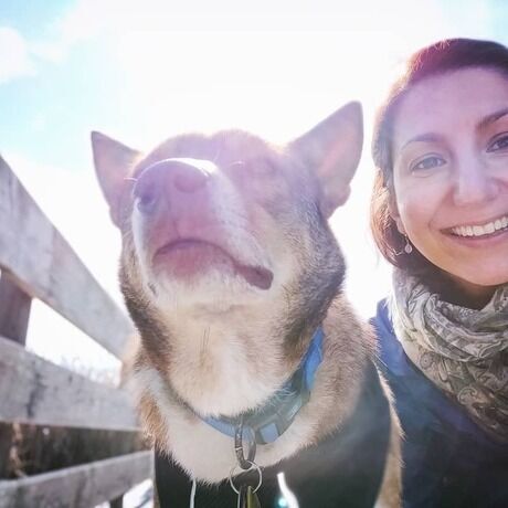 Img 20191030 214341 197