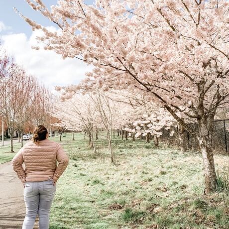 5d4222cc d3ba 4ca3 9ccd f6cabc6fcef4