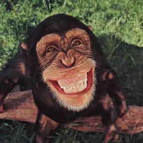 Smiling monkey