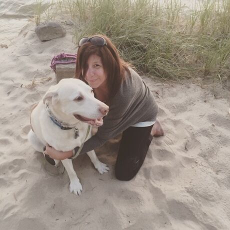 228e011a 727a 4163 84fd dfc52940fcb2