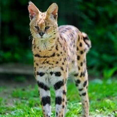 70b16b66 de22 4c04 92c2 1c57e281b4b0