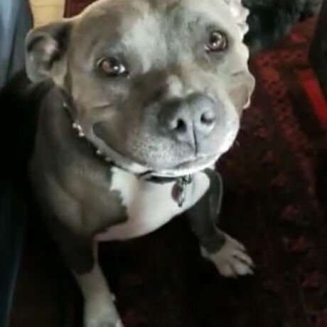 9c9ed64e c373 4ba7 be4b cda82b939187