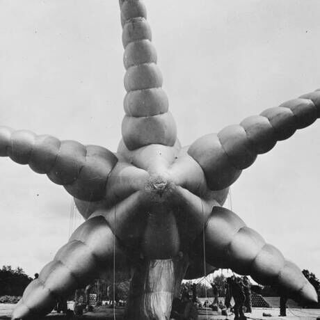 Octopus balloons