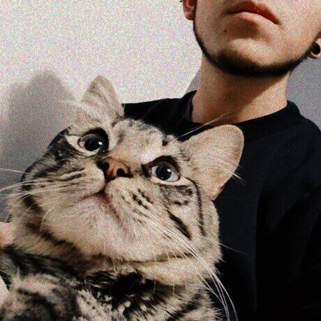 Inbound6157775064613543392