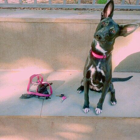 Inbound5911532801284170688