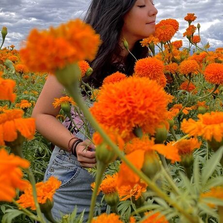 D01ca05f c4d0 4b76 849e a8009093df9d