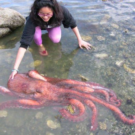 44894 477870032017 7134173 n