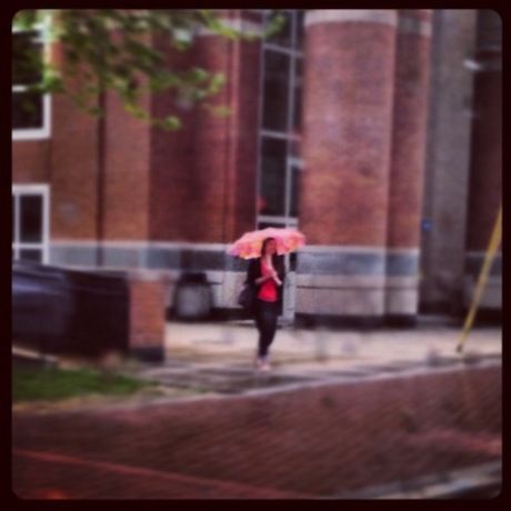 0462d6e8899a11e1ab011231381052c0 7