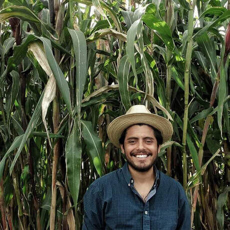 Fb img 1559235366204  1 