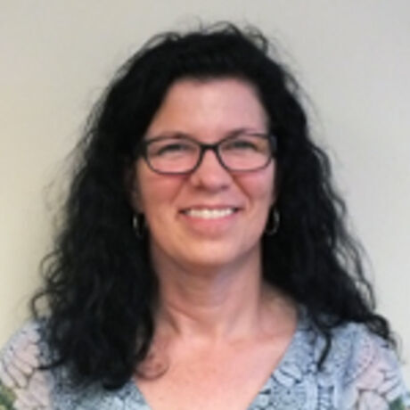 2017shockleymccarthykarla