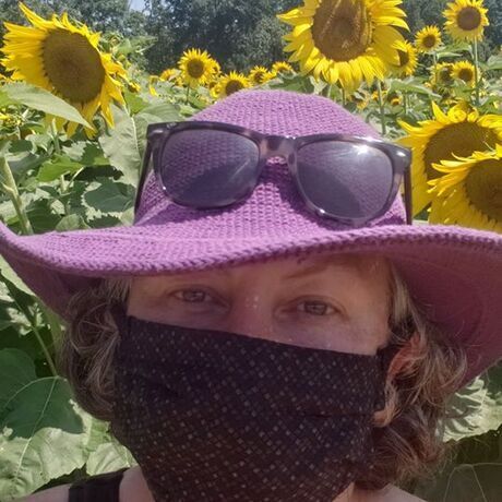 Roddi sunflowers