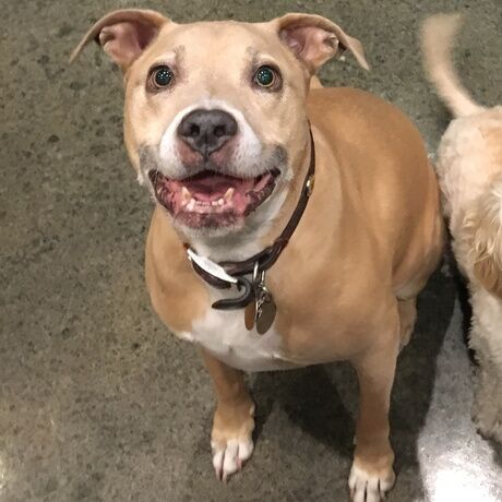 F497387c 75e0 4ed6 a1fc cfb4bd00f1a9